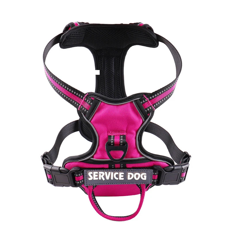 Harnais pour chien
