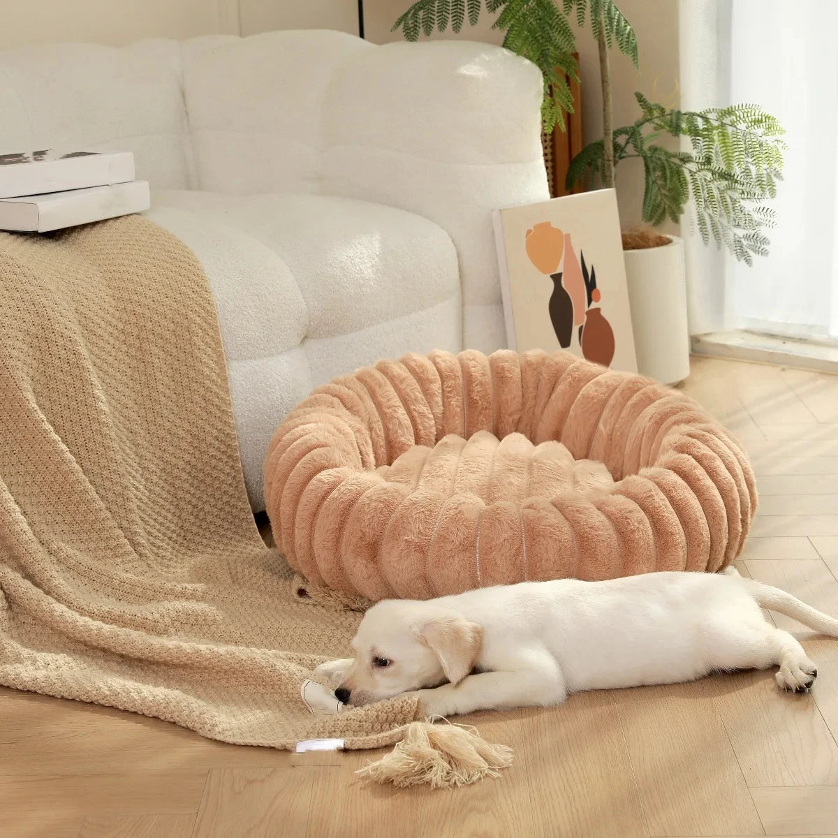 coussin pour chien