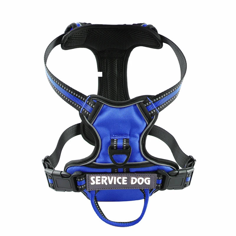 Harnais pour chien