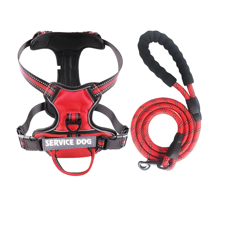 Harnais pour chien