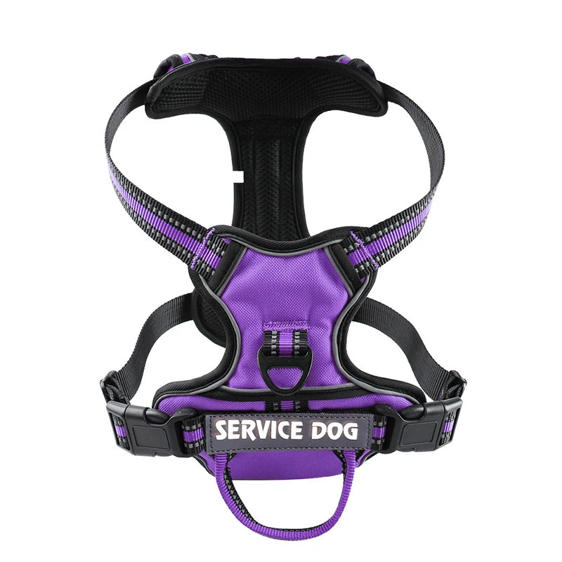 Harnais pour chien