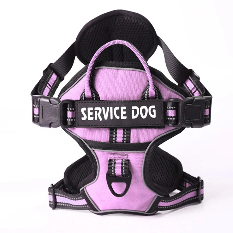 Harnais pour chien