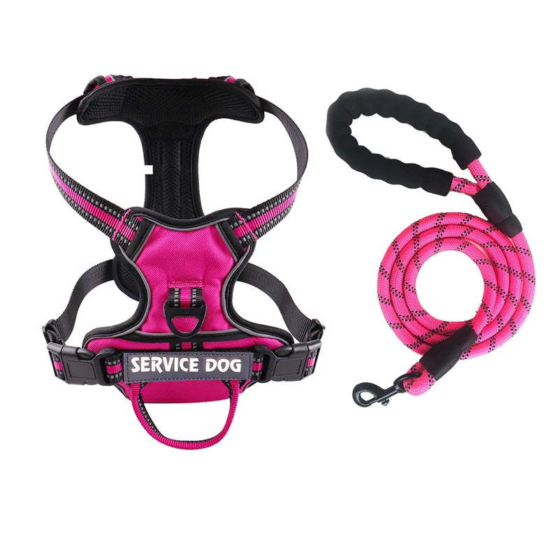 Harnais pour chien
