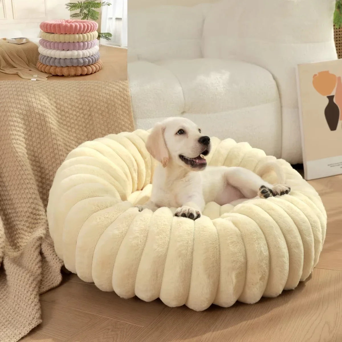 coussin pour chien