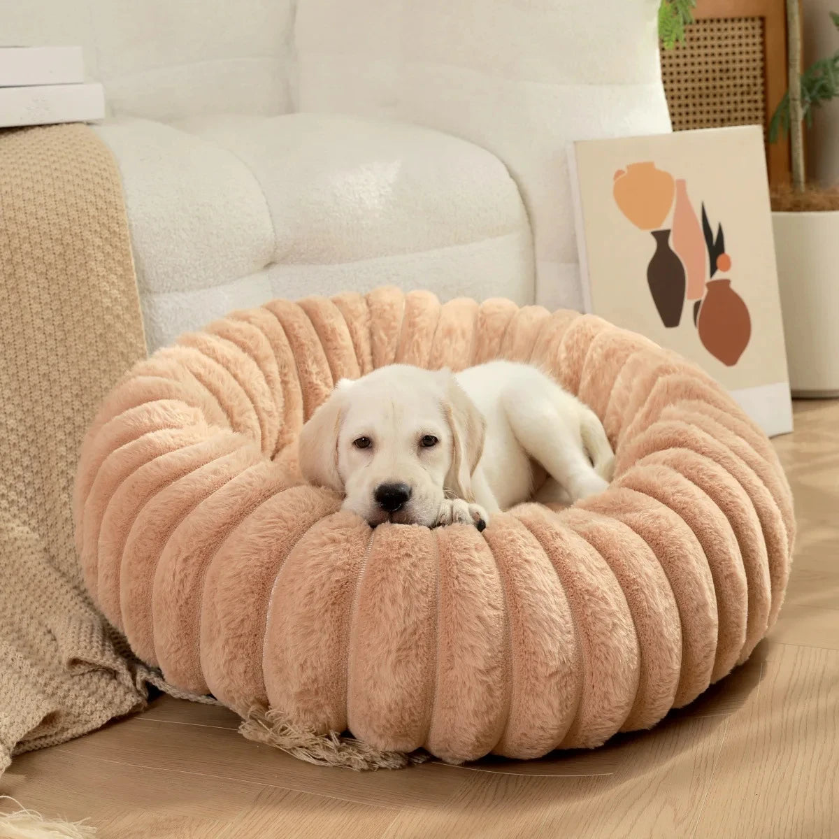 coussin pour chien