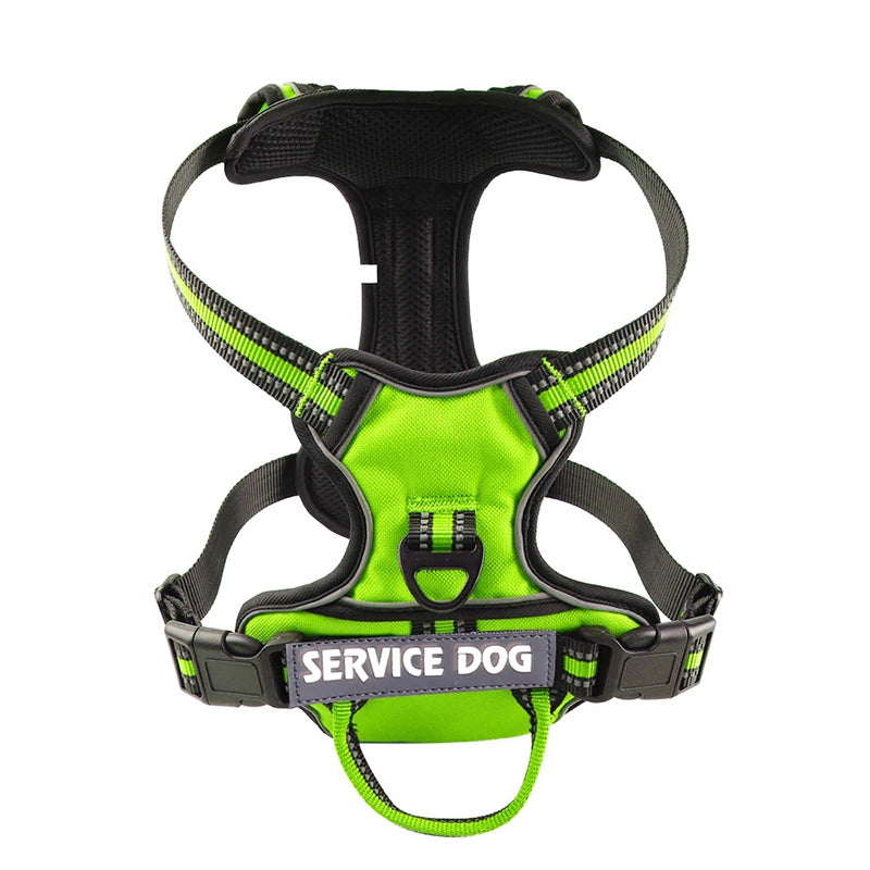 Harnais pour chien