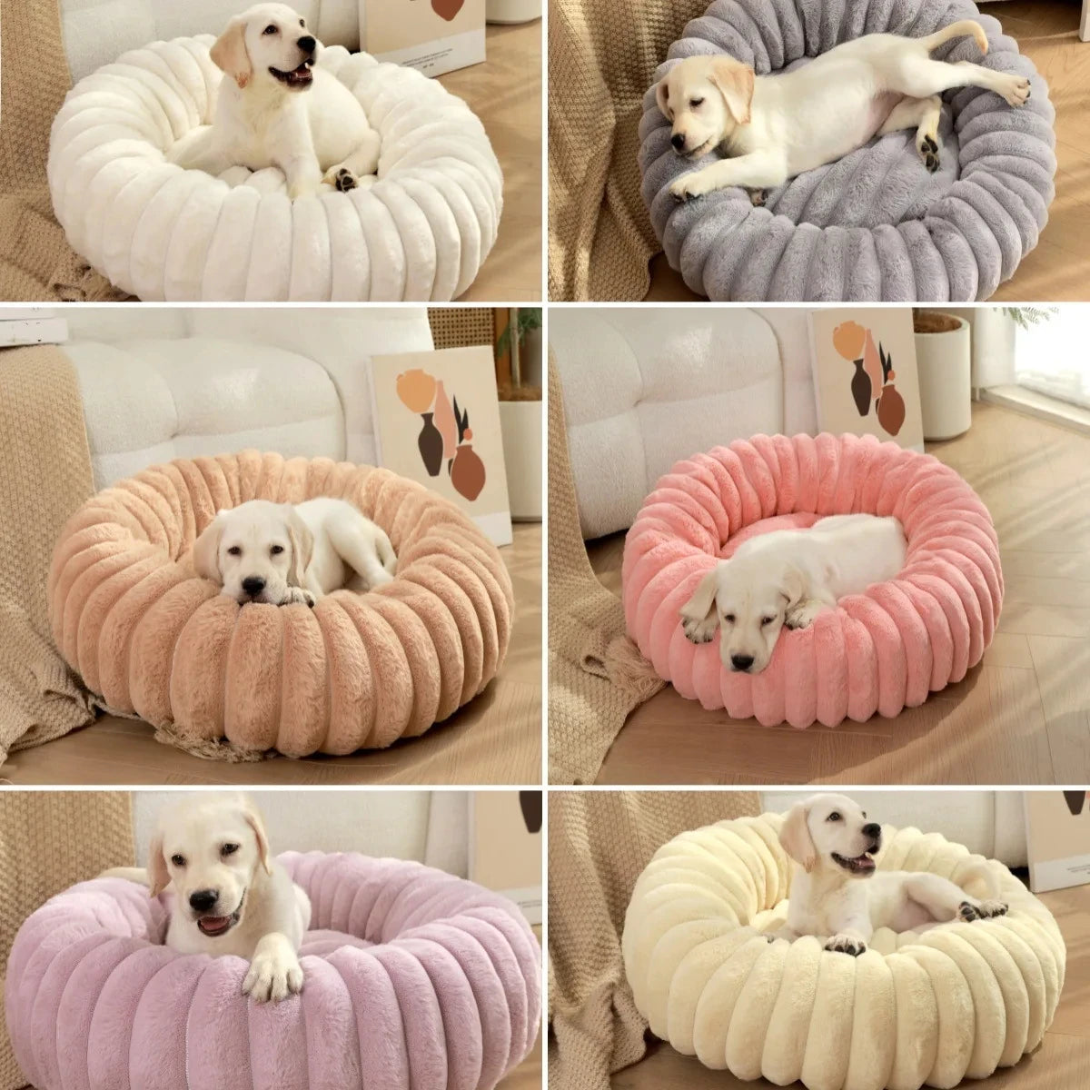 coussin pour chien
