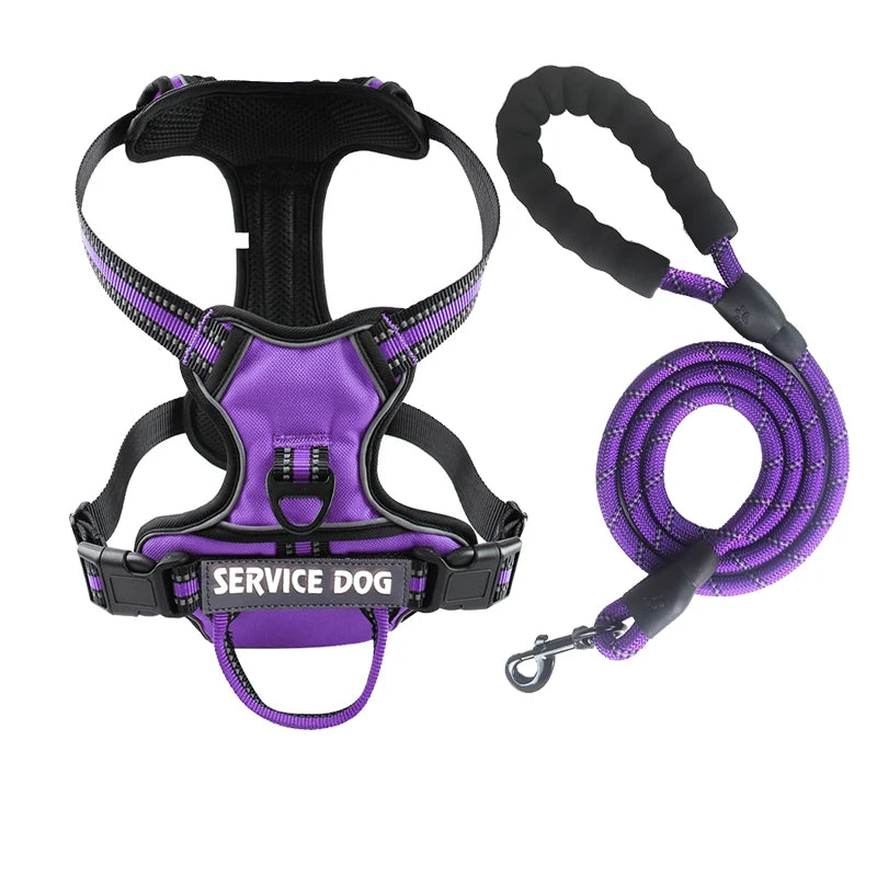 Harnais pour chien