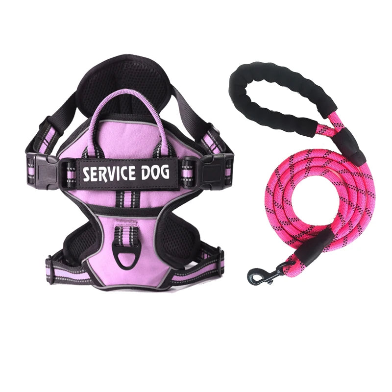 Harnais pour chien