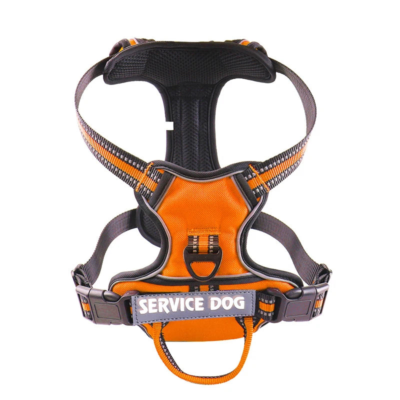 Harnais pour chien