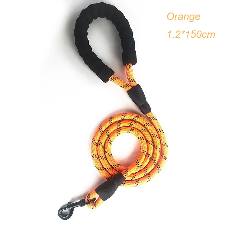 Harnais pour chien