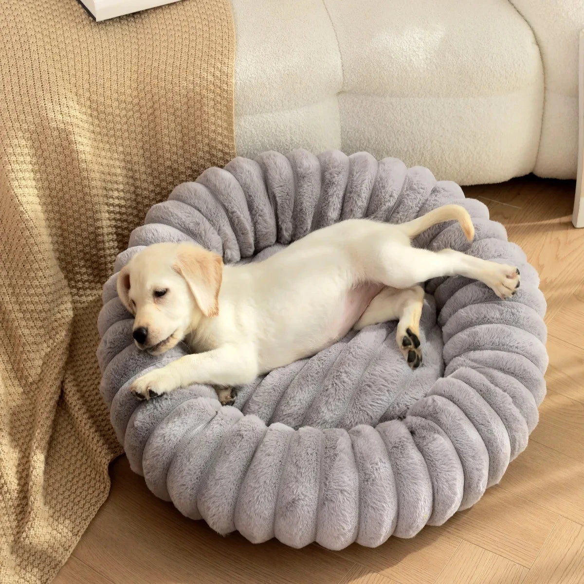 coussin pour chien