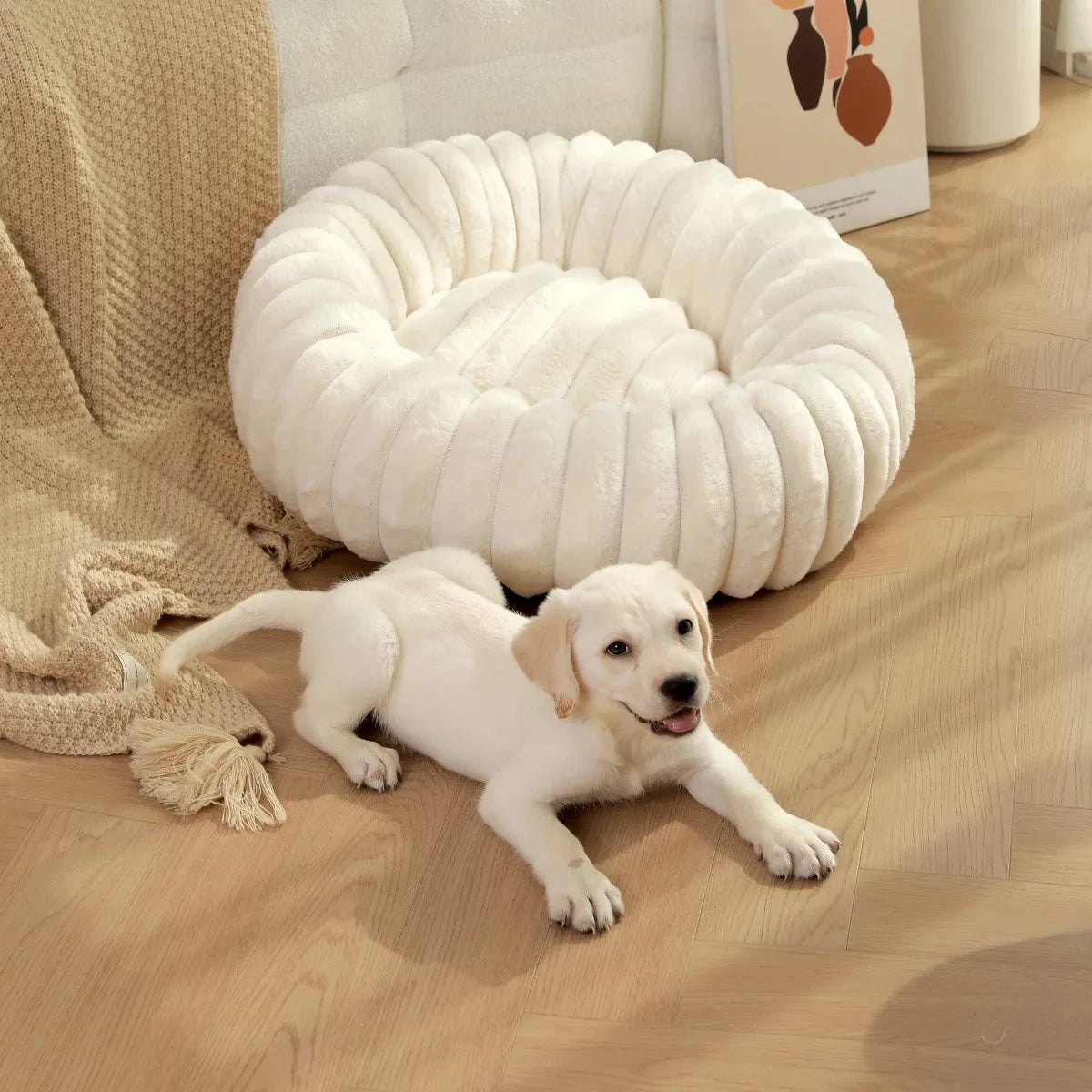 coussin pour chien