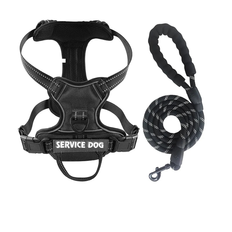 Harnais pour chien