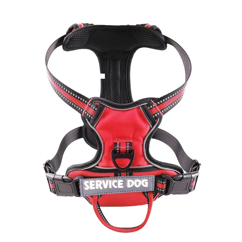 Harnais pour chien