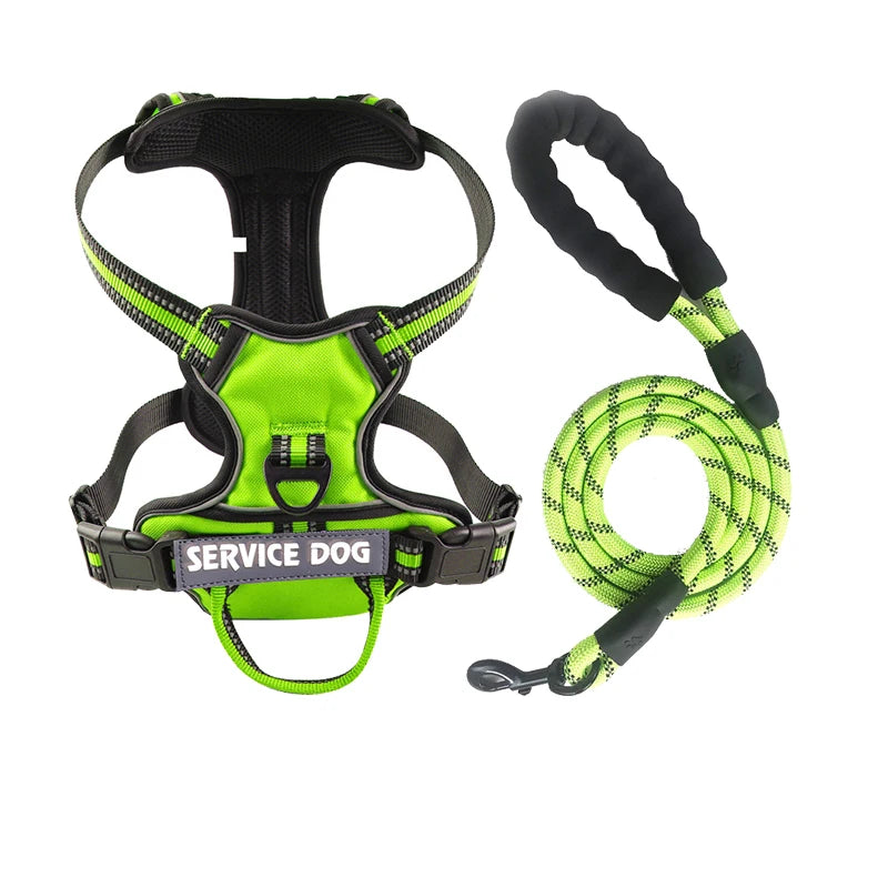 Harnais pour chien