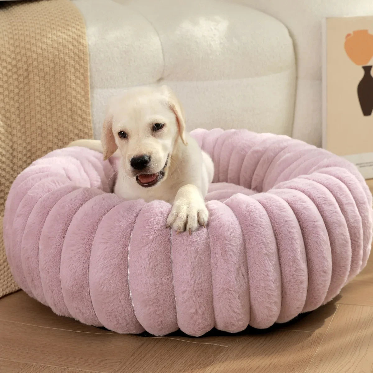 coussin pour chien