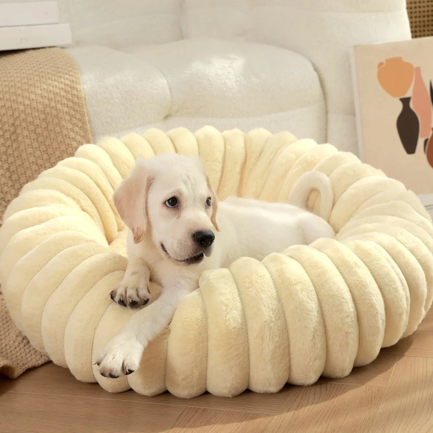 coussin pour chien