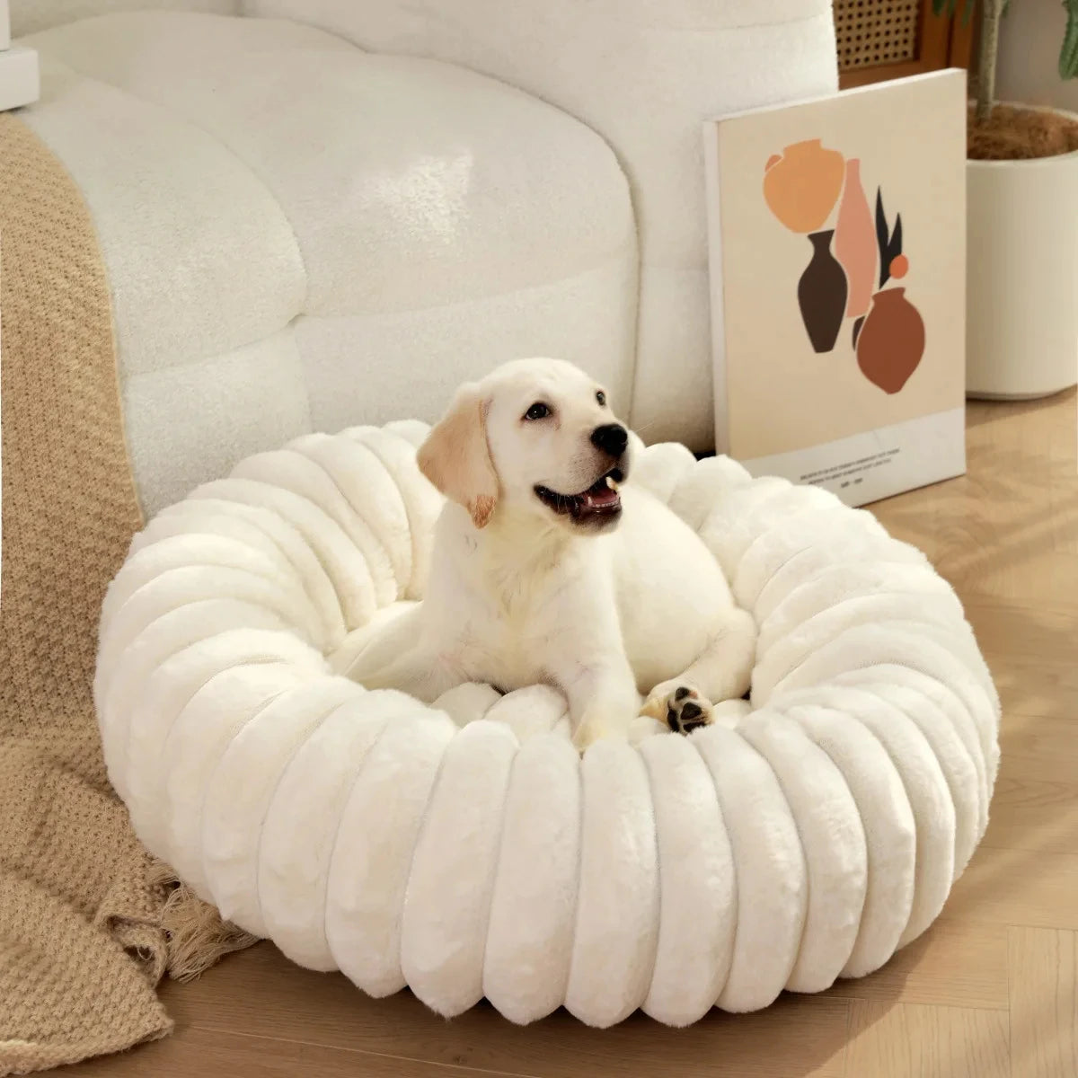 coussin pour chien