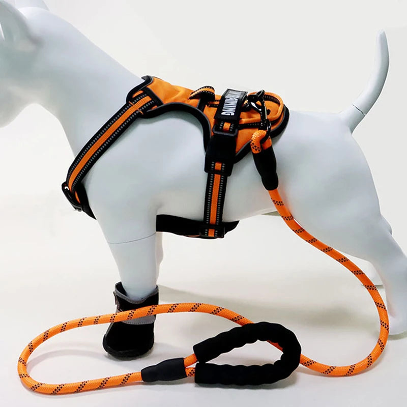 Harnais pour chien