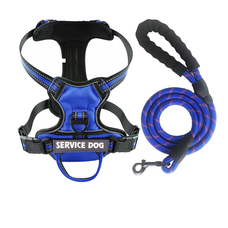 Harnais pour chien