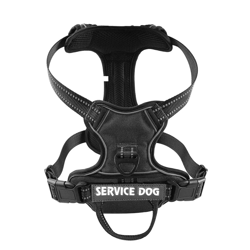 Harnais pour chien