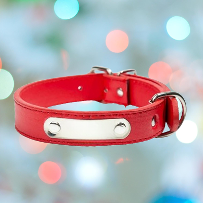 Collier chien - LeatherDogCollar™ - Rouge