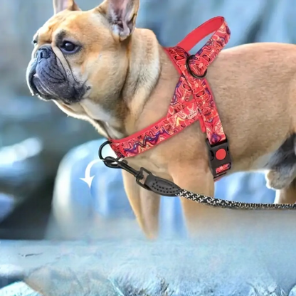 harnais pour chien - DogSafeHarness™- Rouge