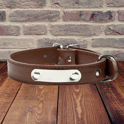 Collier chien - LeatherDogCollar™ - Marron