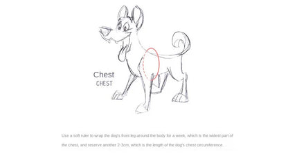 Harnais pour chien
