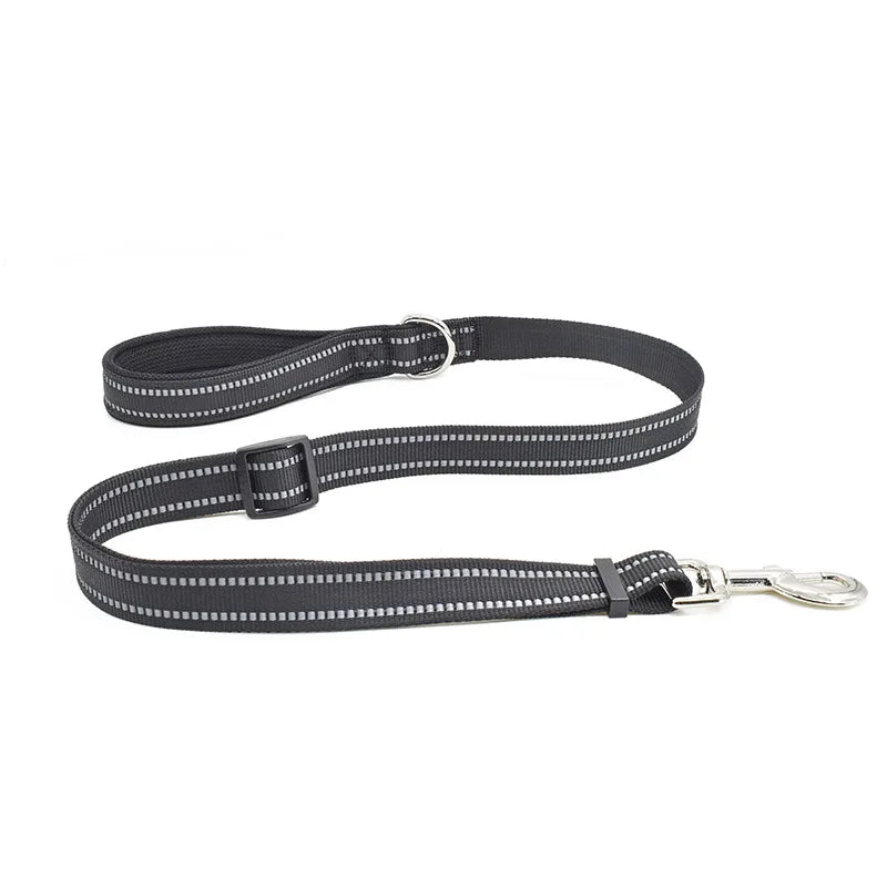 Harnais pour chien