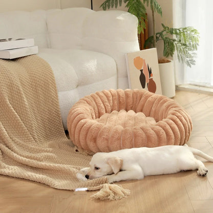 coussin pour chien
