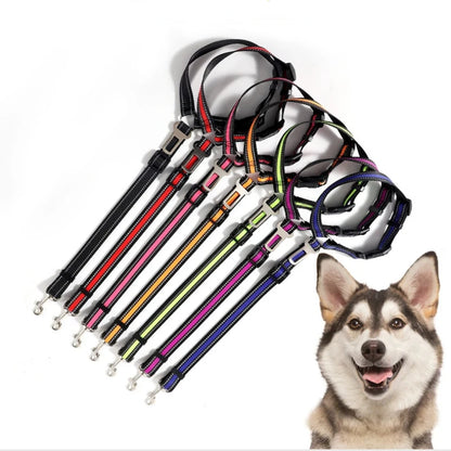 Harnais pour chien