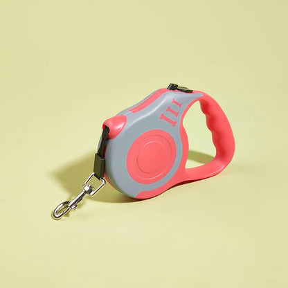 Laisse pour chien