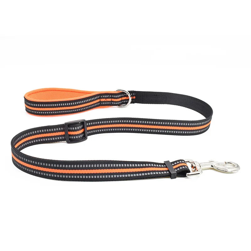 Harnais pour chien