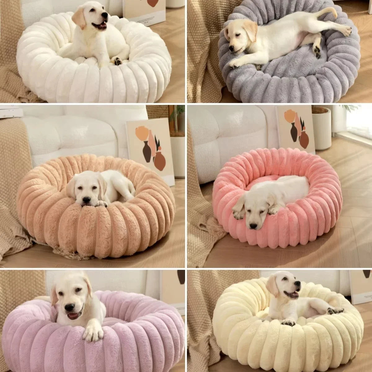 coussin pour chien