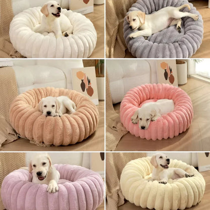 coussin pour chien