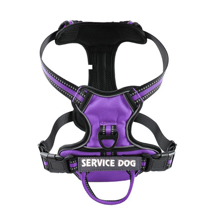 Harnais pour chien