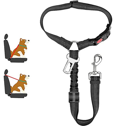 Harnais pour chien