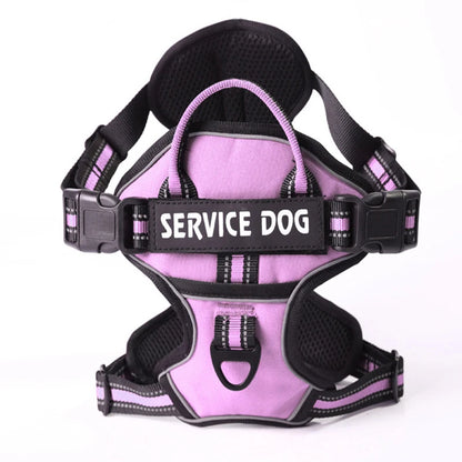 Harnais pour chien