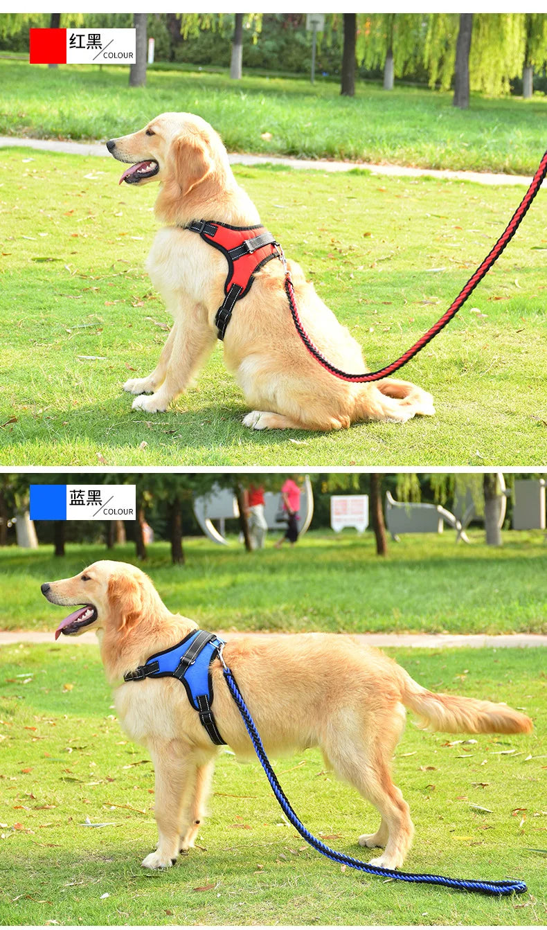 Harnais pour chien