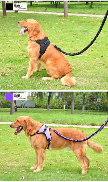 Harnais pour chien