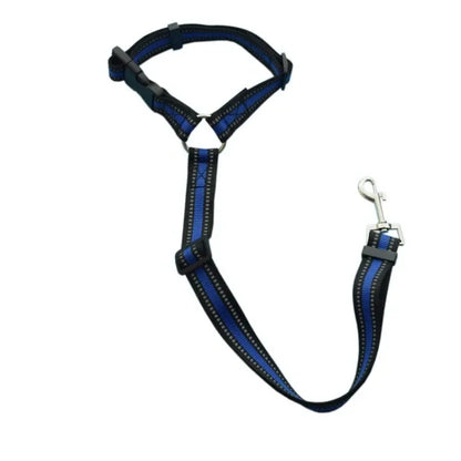 Harnais pour chien