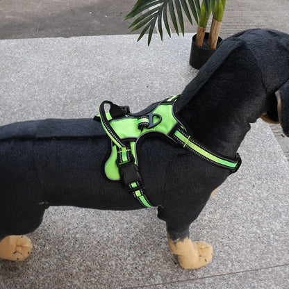 Harnais pour chien