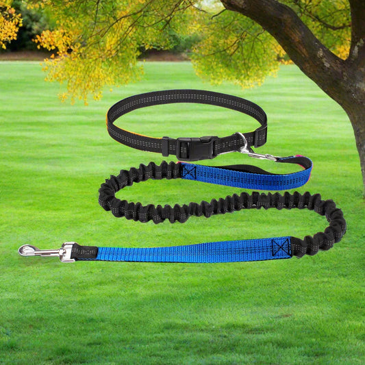 Laisse mains - HandFreeDogLeash™ - Bleu