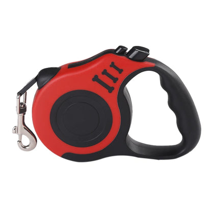 Laisse pour chien