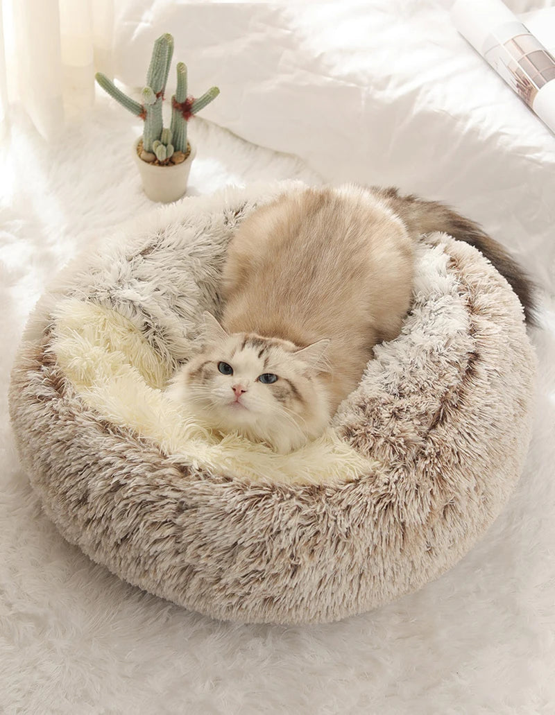 Coussin pour chien