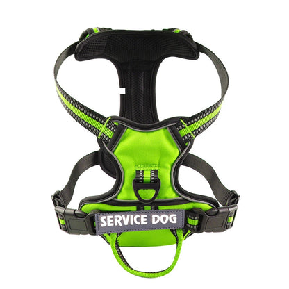 Harnais pour chien