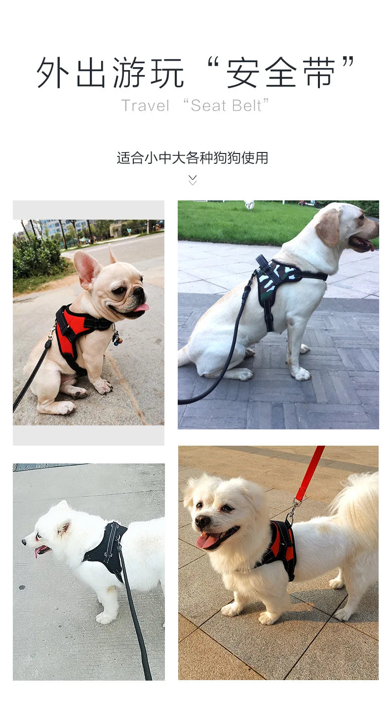 Harnais pour chien