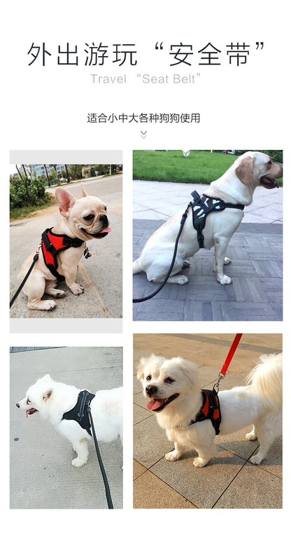 Harnais pour chien
